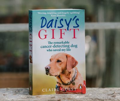 Daisy's Gift Book (Paperback)(inc p&p)