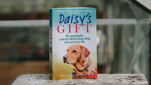 Daisy's Gift Book (Paperback)(inc p&p)