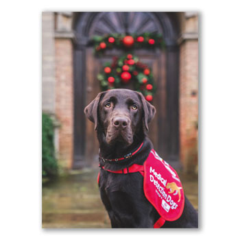 Rudy-olph the red-jacketed lifesaver (inc p&p)