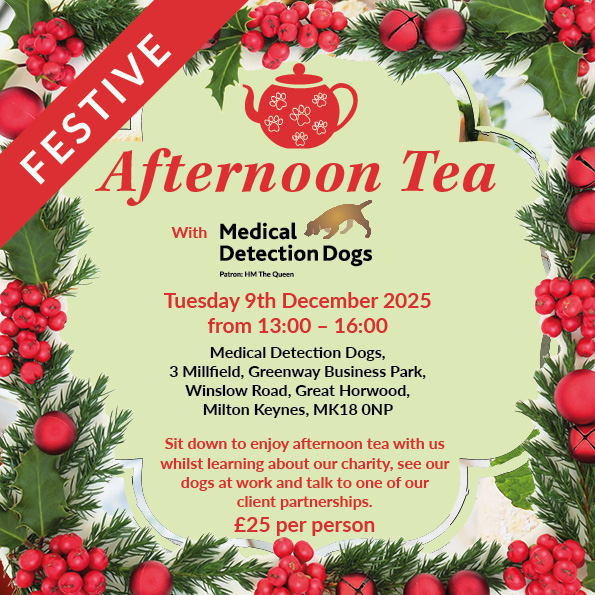 festive afternoon tea with mdd December 2025 social Afternoon tea with mdd