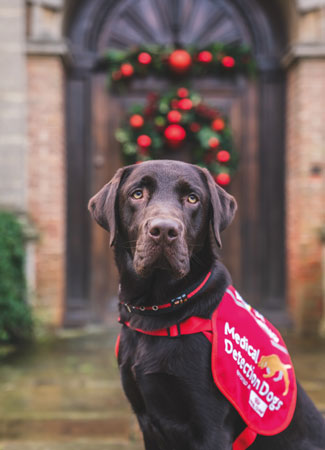 Rudy-olph the red-jacketed lifesaver (inc p&p) - Image 2