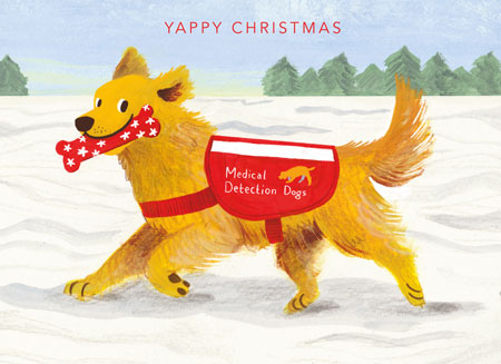 Yappy Christmas (inc p&p) - Image 2