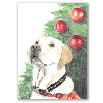 Have a very Bonnie Christmas (inc p&p)